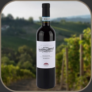 Agricola Marrone - Piemonte Barbera