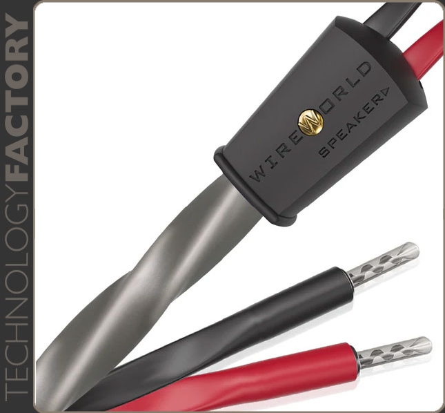 Wireworld Equinox 10