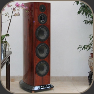 Acoustic System Tango