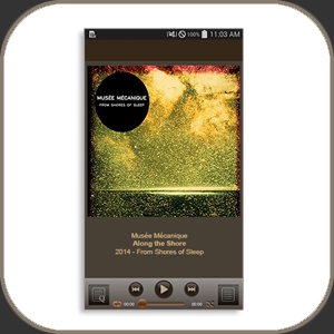 Aurender W20