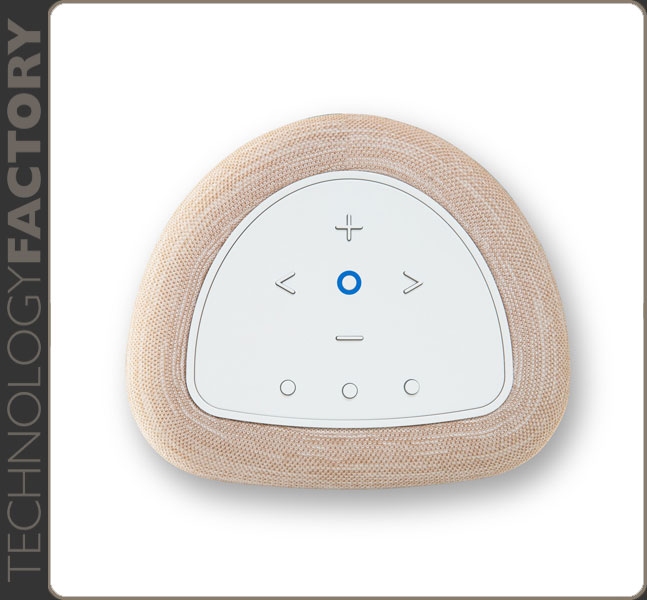 BlueSound PULSE FLEX P130