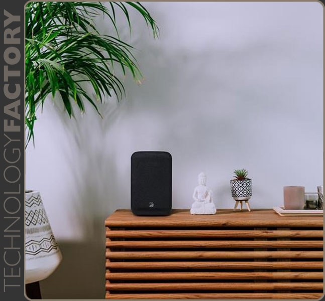 BlueSound PULSE FLEX P130