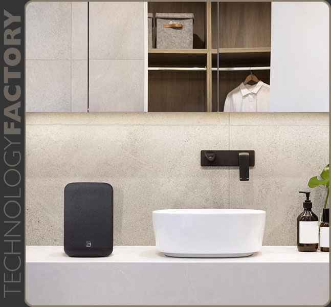 BlueSound PULSE FLEX P130