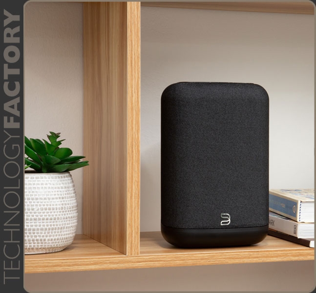 BlueSound PULSE FLEX P130