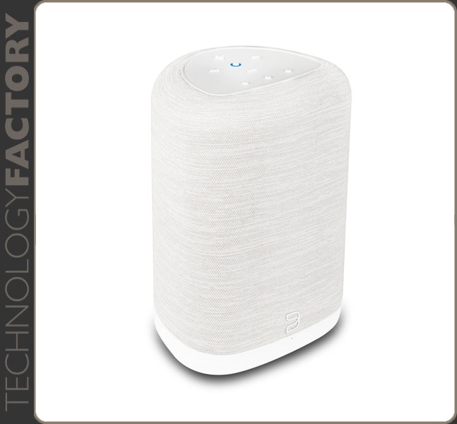BlueSound PULSE FLEX P130