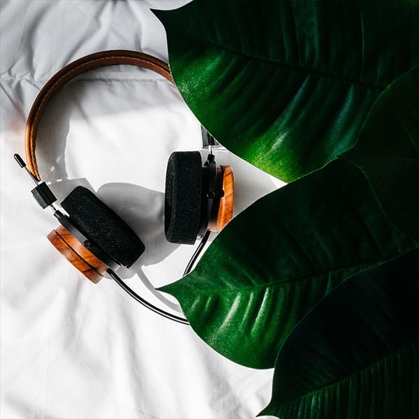 Grado RS1e