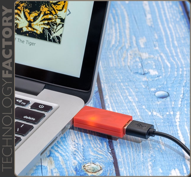 iFi Audio iDefender+