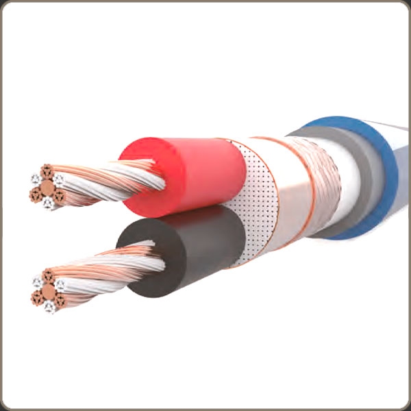 NTEC BLUE RCA