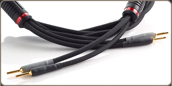 Shunyata Research Delta v2 Speaker Cable 2*3M Spades