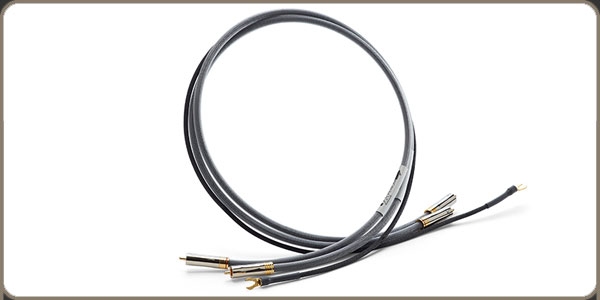 Shunyata Research Venom RCA Phono - 1.0 mtr