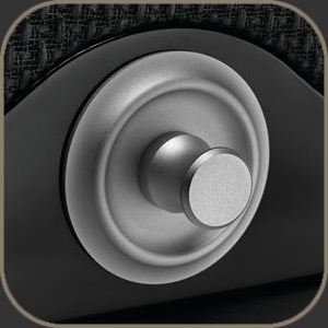 Tannoy Kingdom Royal - Carbon Black