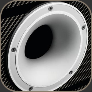 Tannoy Kingdom Royal - Carbon Black