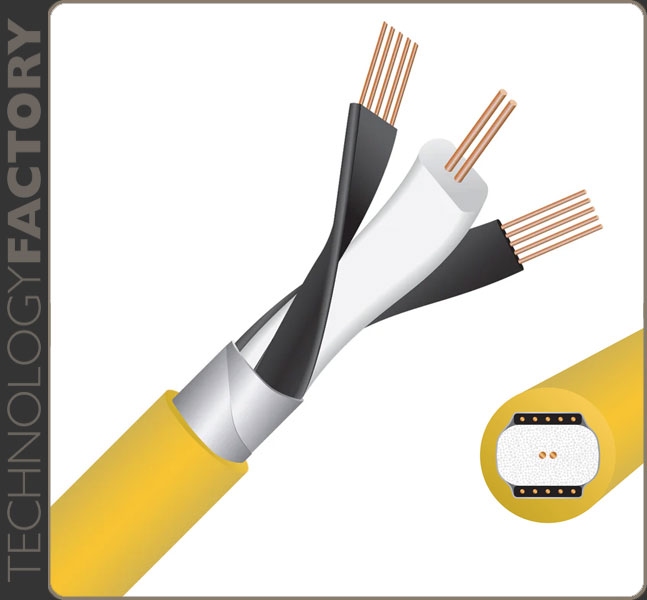 Wireworld Chroma 10 (CRV)